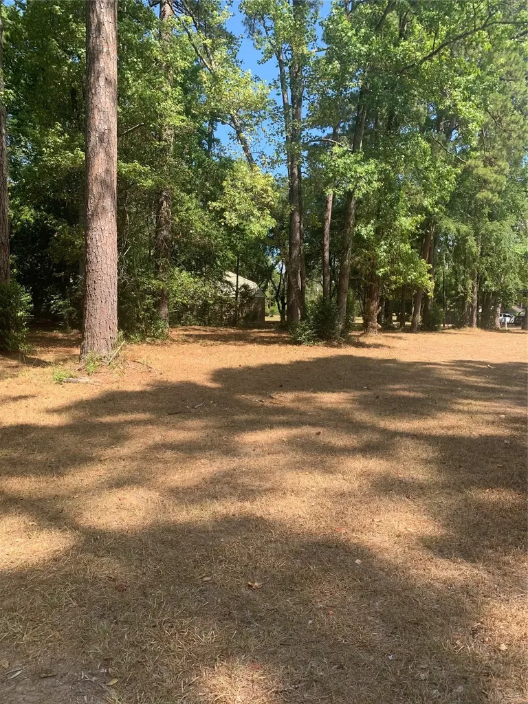 Tbd 1314 Chain Road Livingston TX 77351