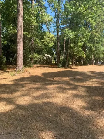 Tbd 1314 Chain Road Livingston TX 77351