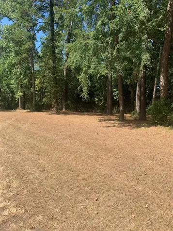 Tbd 1314 Chain Road Livingston TX 77351