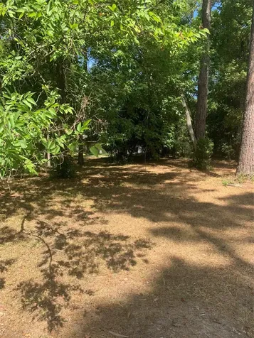 Tbd 1314 Chain Road Livingston TX 77351