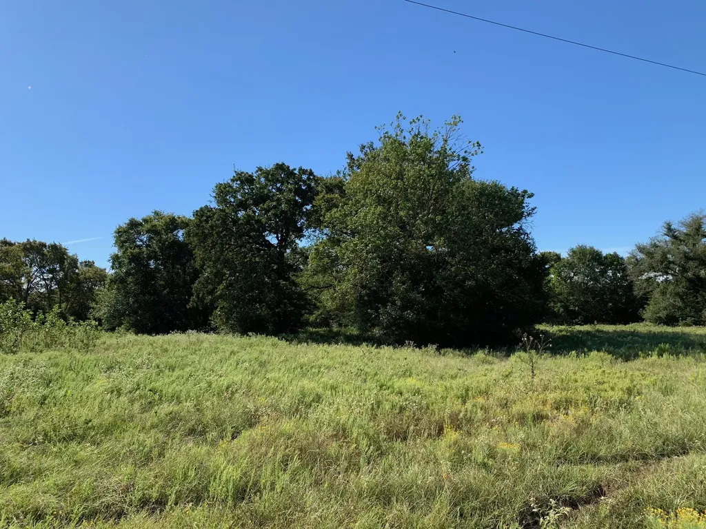 133 Ac Highway 39 Normangee TX 77871