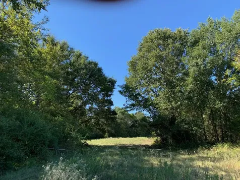 133 Ac Highway 39 Normangee TX 77871