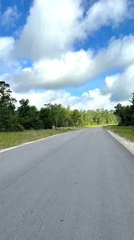 194 Iron Horse Road New Waverly TX 77358