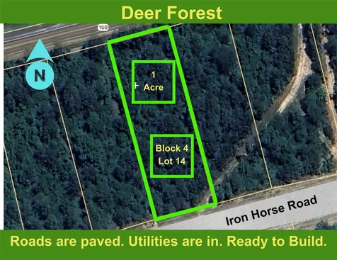 194 Iron Horse Road New Waverly TX 77358