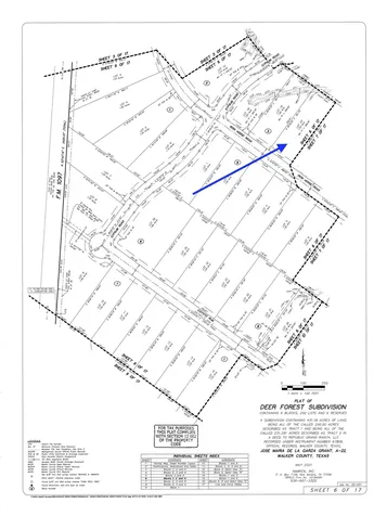 194 Iron Horse Road New Waverly TX 77358