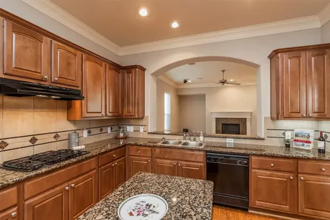 10126 Holly Chase Drive Houston TX 77042