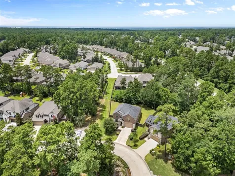 135 Teralyn Grove Loop Conroe TX 77318