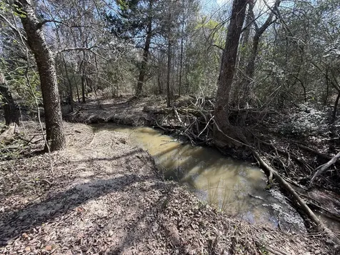 Tbd Tract 10 Fcr 445 Fairfield TX 75840
