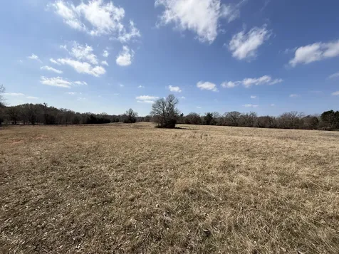 Tbd Tract 10 Fcr 445 Fairfield TX 75840