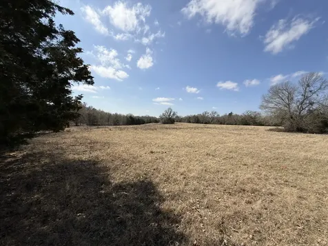 Tbd Tract 10 Fcr 445 Fairfield TX 75840