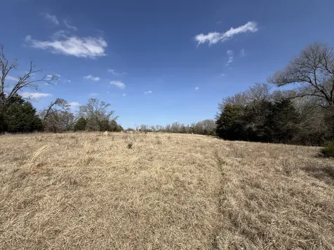 Tbd Tract 10 Fcr 445 Fairfield TX 75840