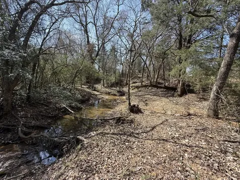 Tbd Tract 10 Fcr 445 Fairfield TX 75840