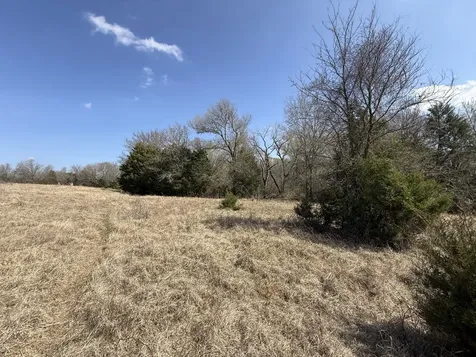 Tbd Tract 10 Fcr 445 Fairfield TX 75840