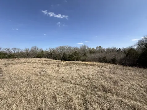Tbd Tract 10 Fcr 445 Fairfield TX 75840