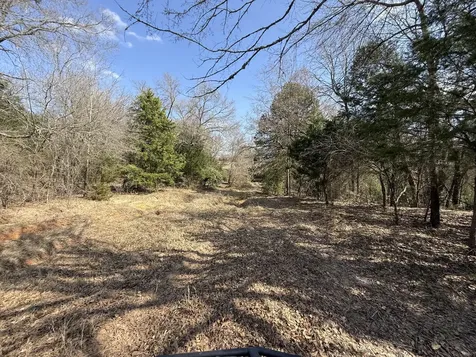 Tbd Tract 10 Fcr 445 Fairfield TX 75840