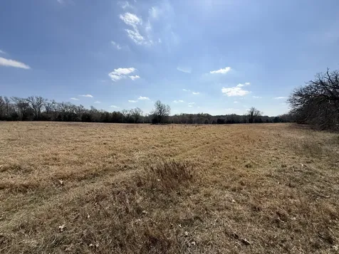 Tbd Tract 10 Fcr 445 Fairfield TX 75840