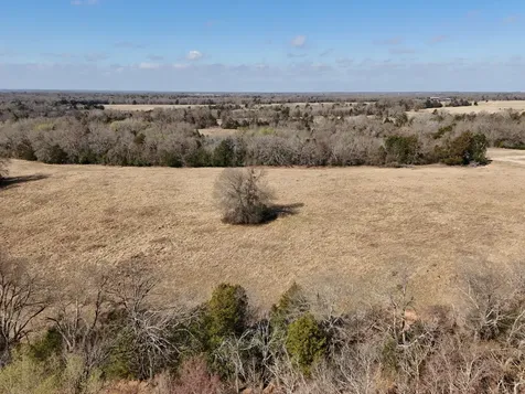 Tbd Tract 10 Fcr 445 Fairfield TX 75840