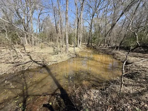 Tbd Tract 10 Fcr 445 Fairfield TX 75840