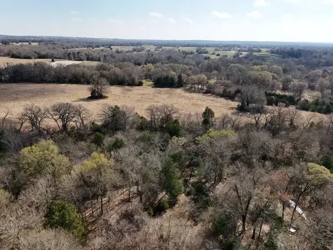 Tbd Tract 10 Fcr 445 Fairfield TX 75840