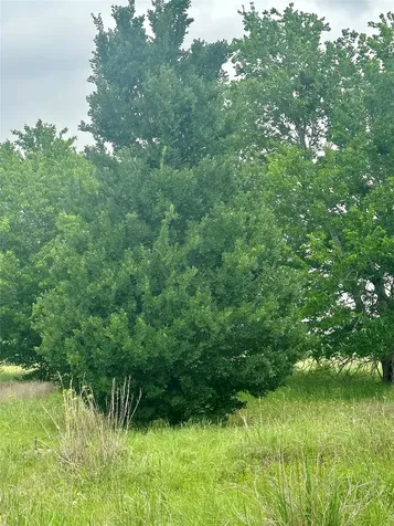 159 N Witte Road Ranch NE Bellville TX 77418