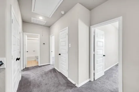 10057 Red Beadtree Place Conroe TX 77385