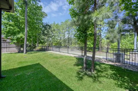 10057 Red Beadtree Place Conroe TX 77385