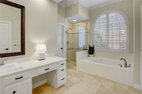 51 Dartmoor Court Sugar Land TX 77479