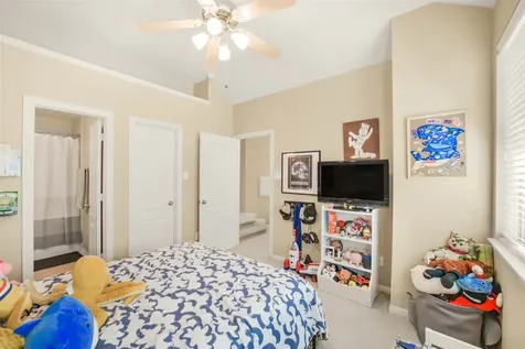 17707 Skyline Arbor Houston TX 77094