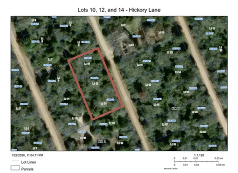 Tbd Hickory Lane Hilltop Lakes TX 77871