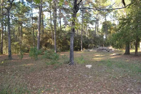 24854 Shady Oaks Boulevard Montgomery TX 77316