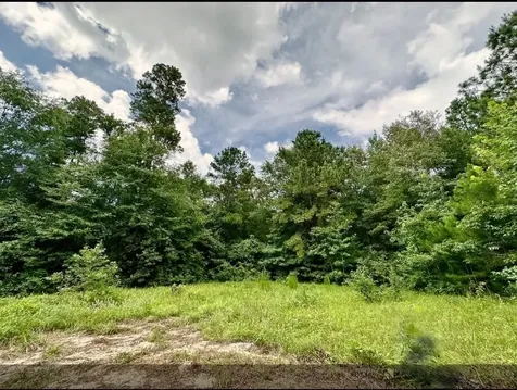 2370 Westville Road Groveton TX 75845