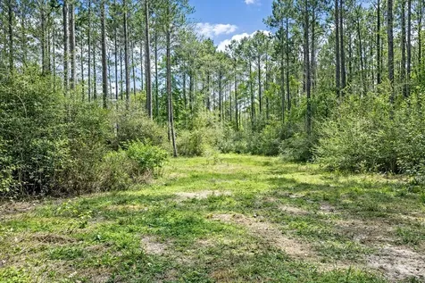 2370 Westville Road Groveton TX 75845