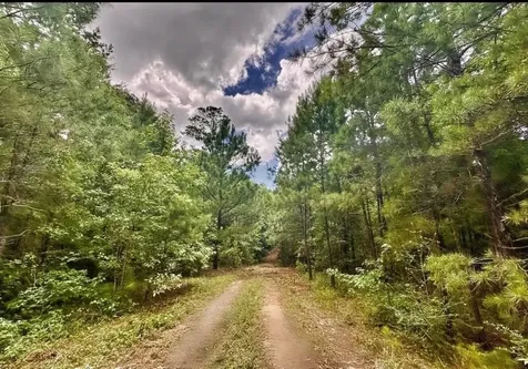 2370 Westville Road Groveton TX 75845