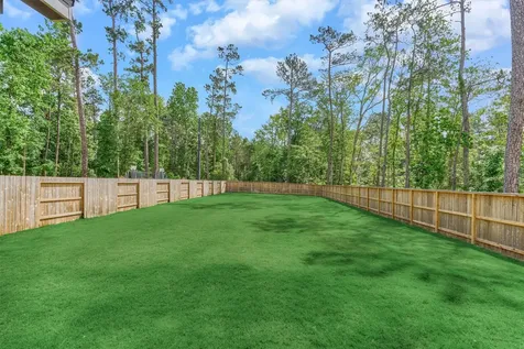 301 Water Tupelo Drive Montgomery TX 77316