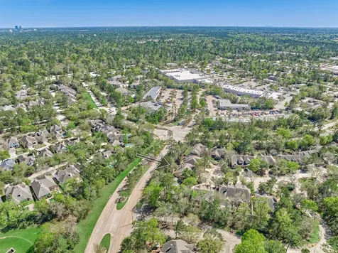 78 Douvaine Court The Woodlands TX 77382