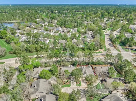 78 Douvaine Court The Woodlands TX 77382