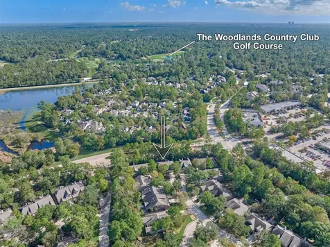 78 Douvaine Court The Woodlands TX 77382