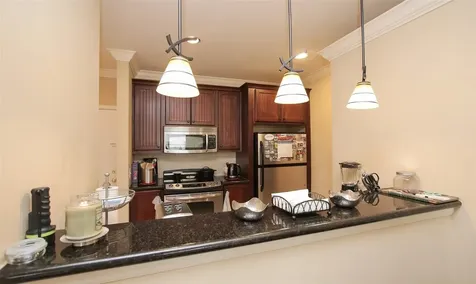 2203 Dorrington Street 208 Houston TX 77030