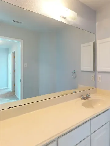 9877 Lace Flower Way Conroe TX 77385