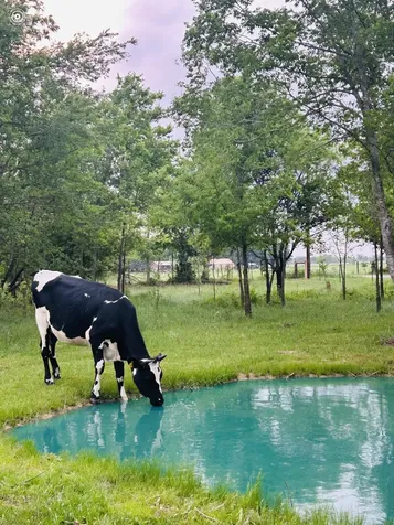 6AC County Road 930 Mexia TX 76667