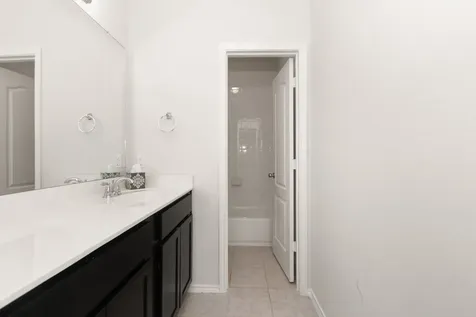 13622 Giant Panda Bear Avenue Crosby TX 77532