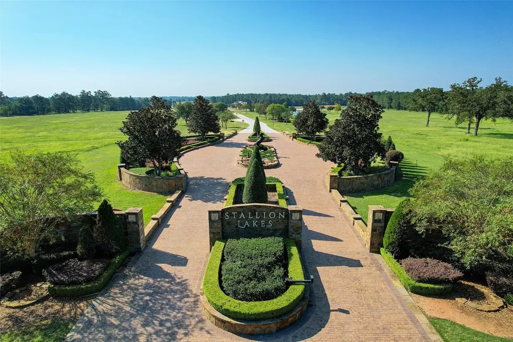 2302 Iris Cove Court Hockley TX 77447