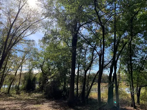 11524 & 11536 Drake's Landing Frankston TX 75763