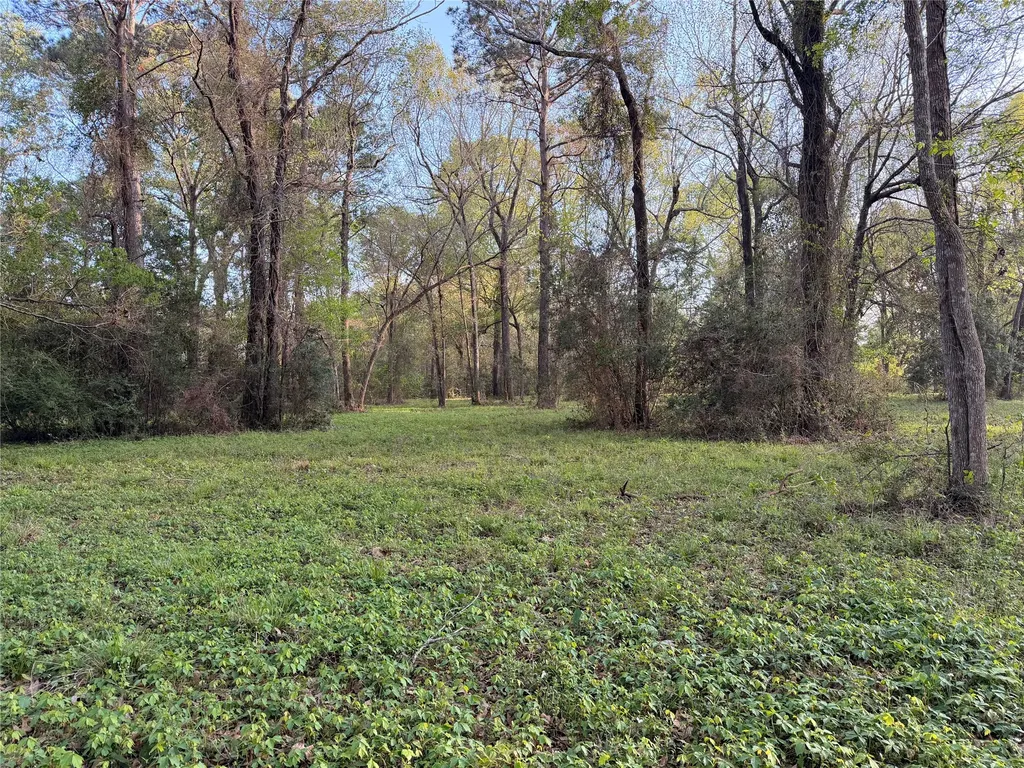 Tbd County Road 2284 Freddie Rice Road Cleveland TX 77327
