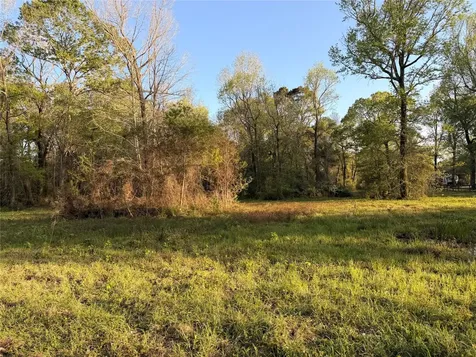 Tbd County Road 2284 Freddie Rice Road Cleveland TX 77327