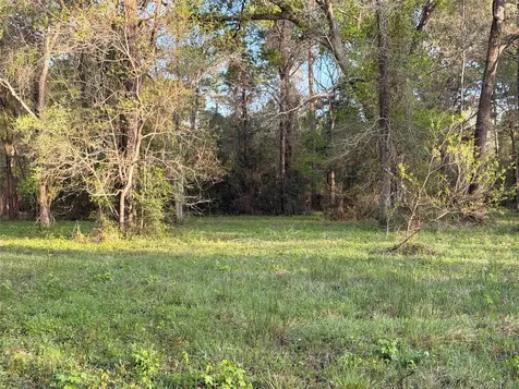 Tbd County Road 2284 Freddie Rice Road Cleveland TX 77327