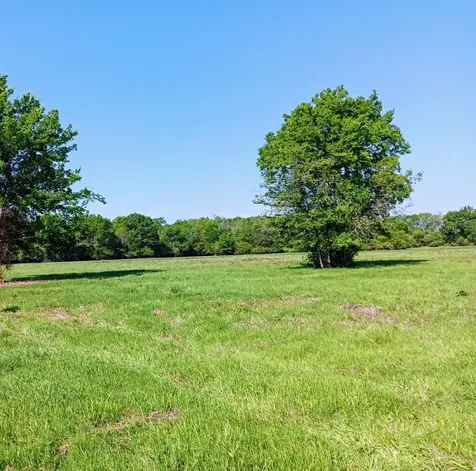 Tract 24 Fm 2915 Lovelady TX 75851