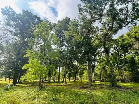 1214 Chuckwagon Court Angleton TX 77515