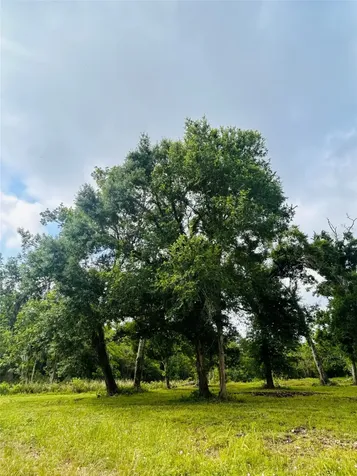 1214 Chuckwagon Court Angleton TX 77515