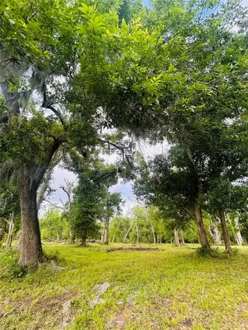 1214 Chuckwagon Court Angleton TX 77515